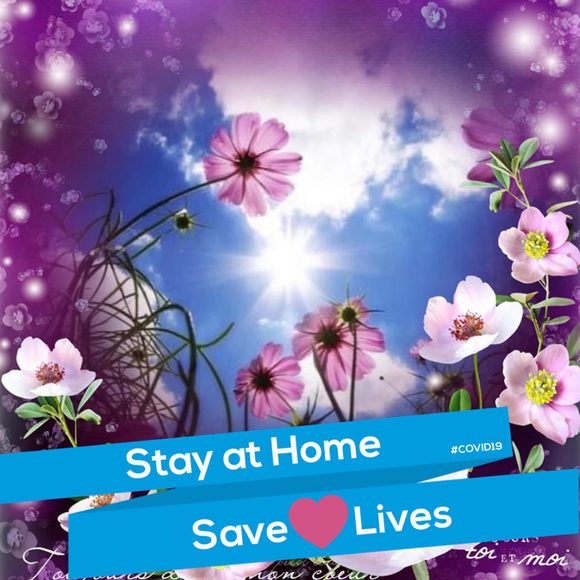 Meet your Posher, Shironaka - Picture 1 of 1